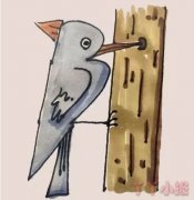 啄木鸟的简笔画怎么画带步骤简单又好看