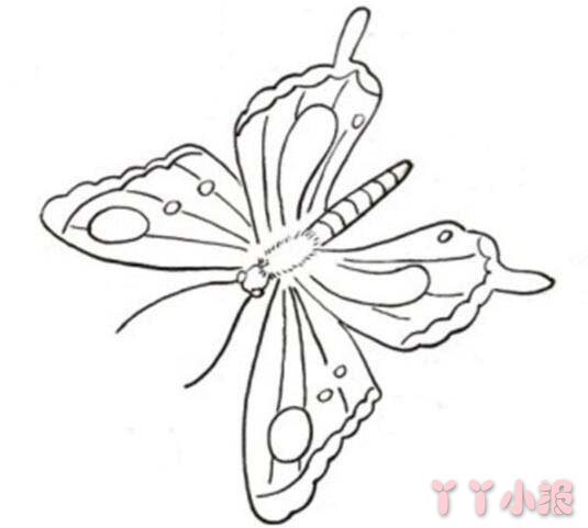 清明节蝴蝶的简笔画怎么画带步骤简单又好看