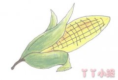 手绘玉米棒的简笔画怎么画带步骤简单又好看