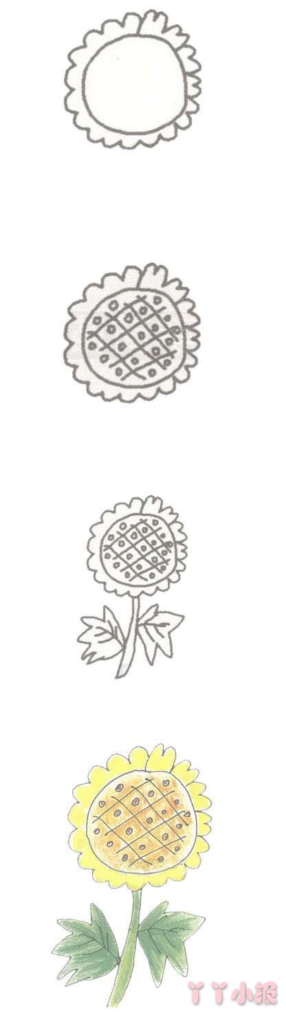 手绘向日葵的简笔画怎么画带步骤简单又好看