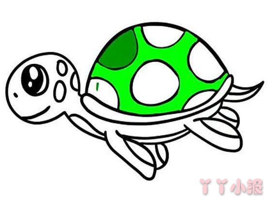 乌龟的简笔画怎么画带步骤简单又好看