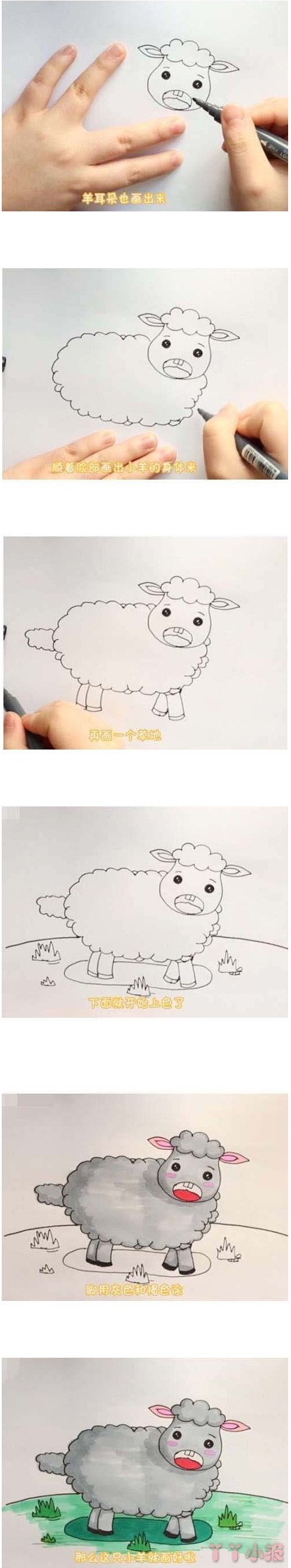 小绵羊的简笔画怎么画带步骤简单又好看