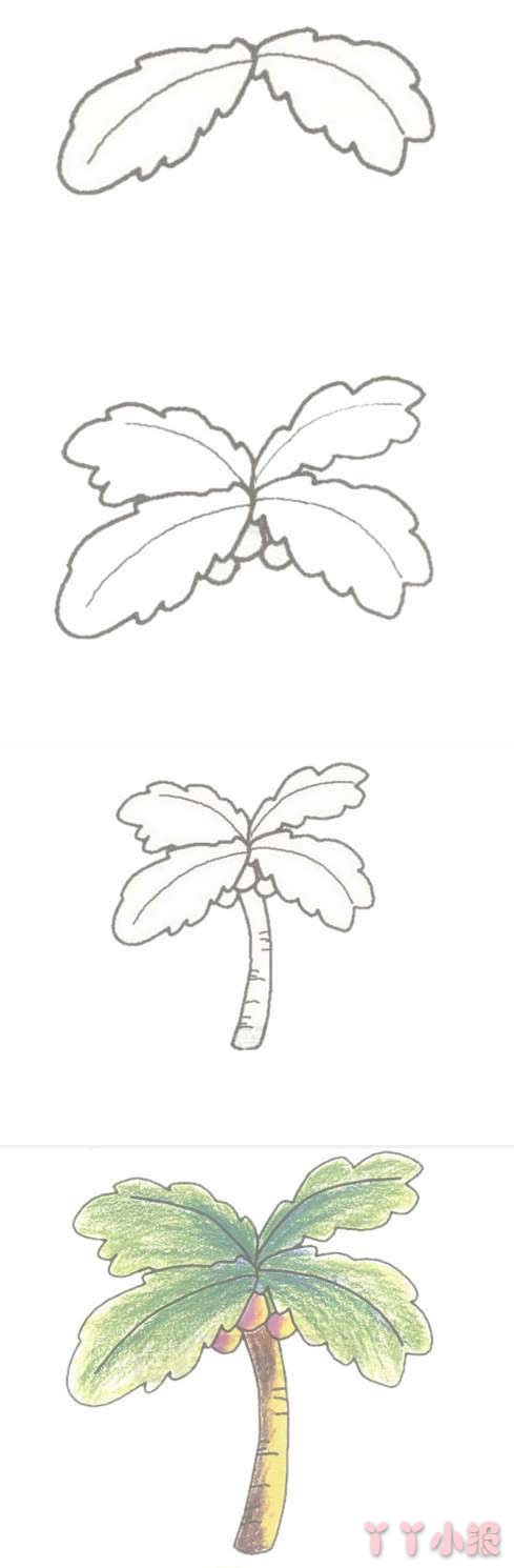 手绘椰子树的简笔画怎么画带步骤简单又好看