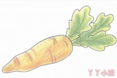 手绘胡萝卜的简笔画怎么画带步骤简单又好看
