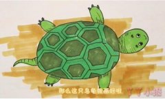一步一步绘画小乌龟的简笔画简单又好看涂色