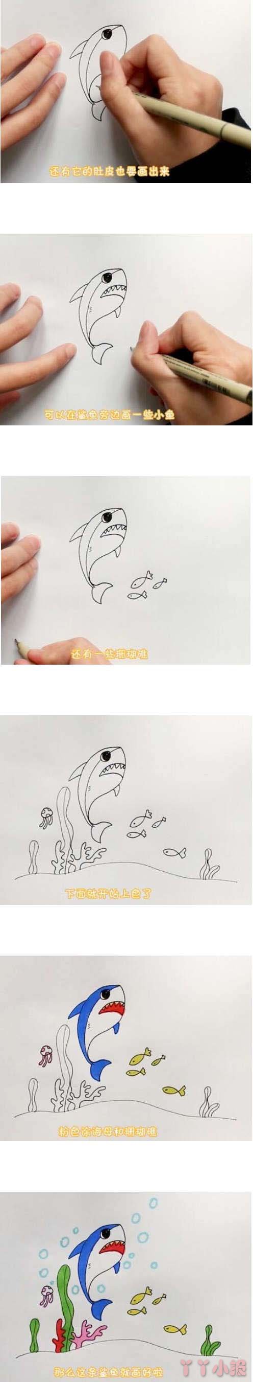 教你画跳跃鲨鱼的简笔画怎么画带步骤简单又好看