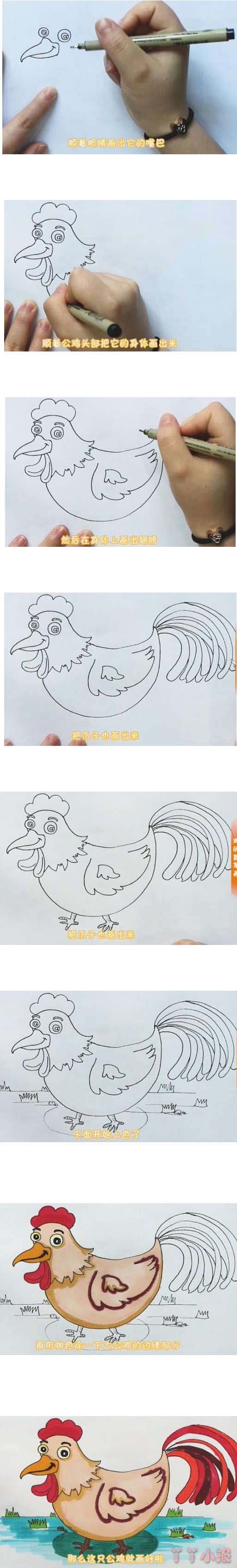 美丽的大公鸡简笔画怎么画带步骤简单涂颜色
