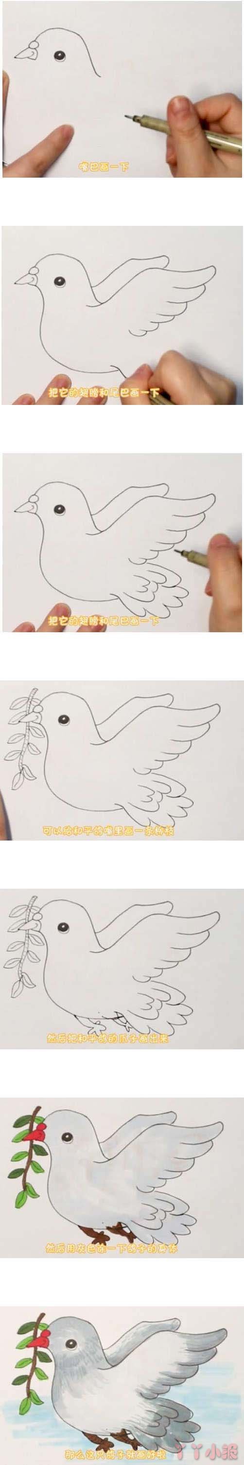 手绘和平鸽的简笔画怎么画带步骤简单又好看