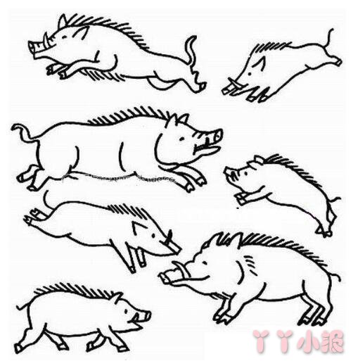 奔跑的野猪的画法简笔画带步骤简单又好看涂色