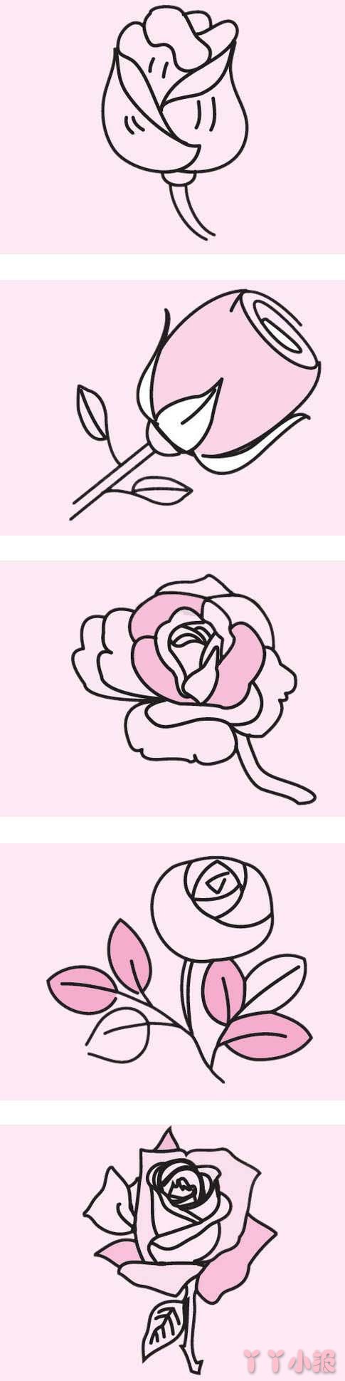 彩色玫瑰花的简笔画怎么画带步骤简单又好看