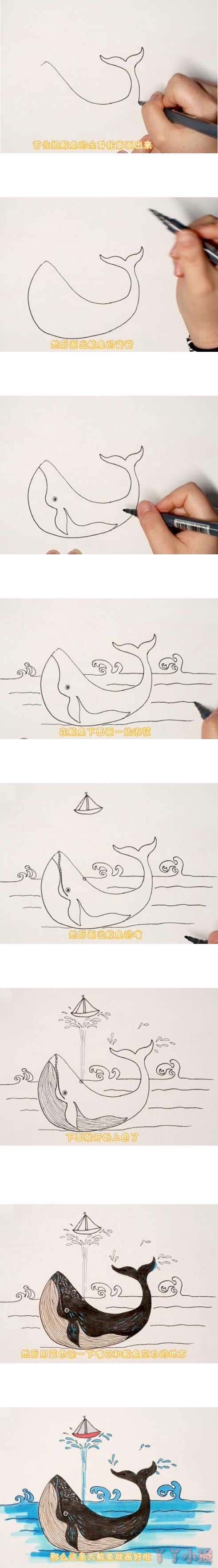 教你怎么画喷水鲸鱼的简笔画怎么画简单好看