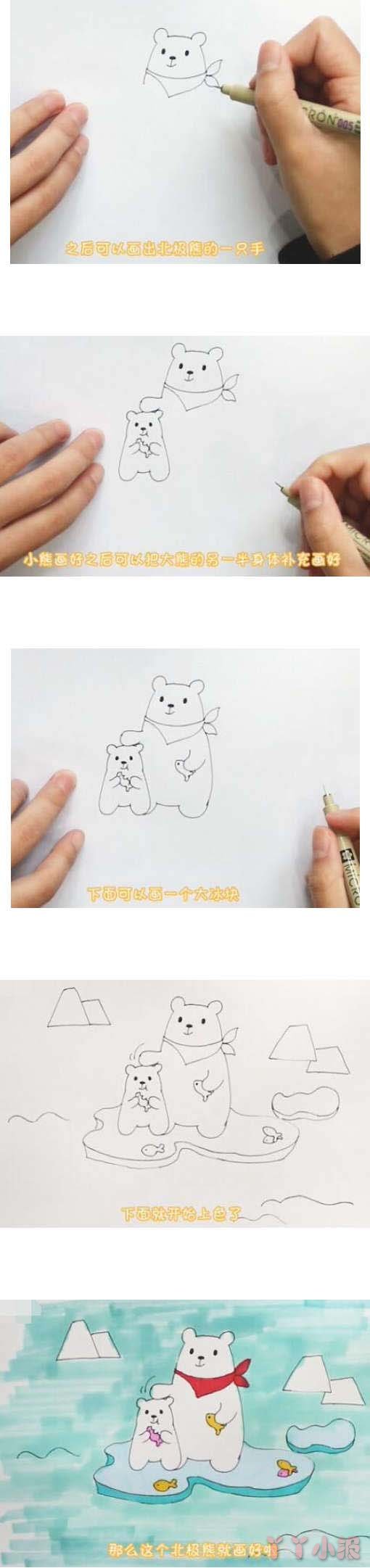 教你怎么画北极熊的简笔画带步骤简单好看彩绘