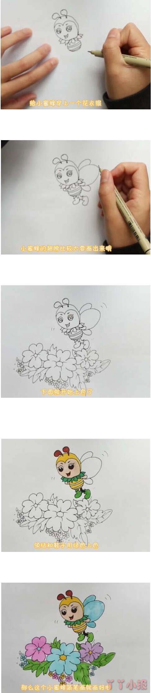 教你画采花蜜的小蜜蜂的简笔画简单好看带步骤