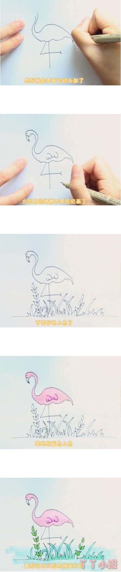 教你怎么画火烈鸟的简笔画简单好看带步骤