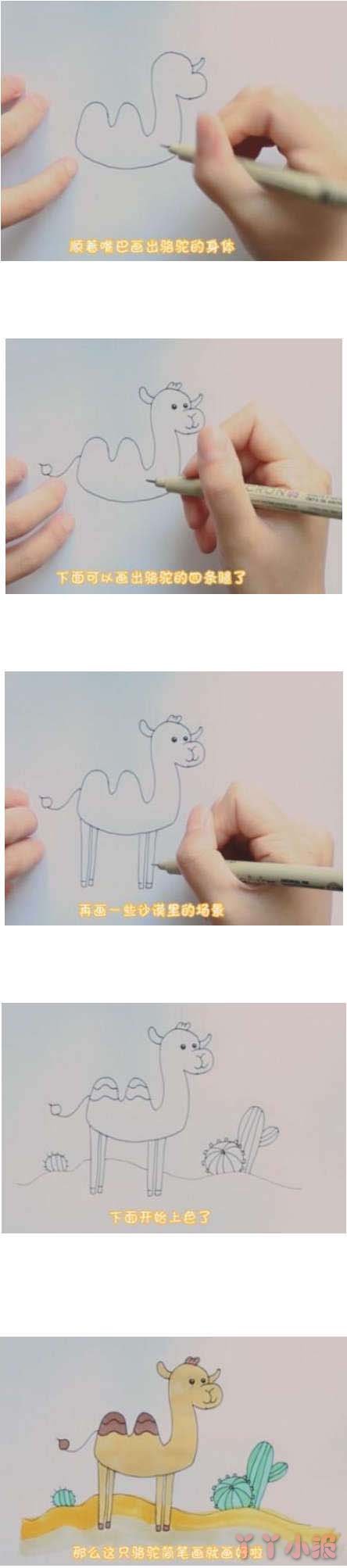 教你如何画骆驼的简笔画怎么画简单好看带步骤