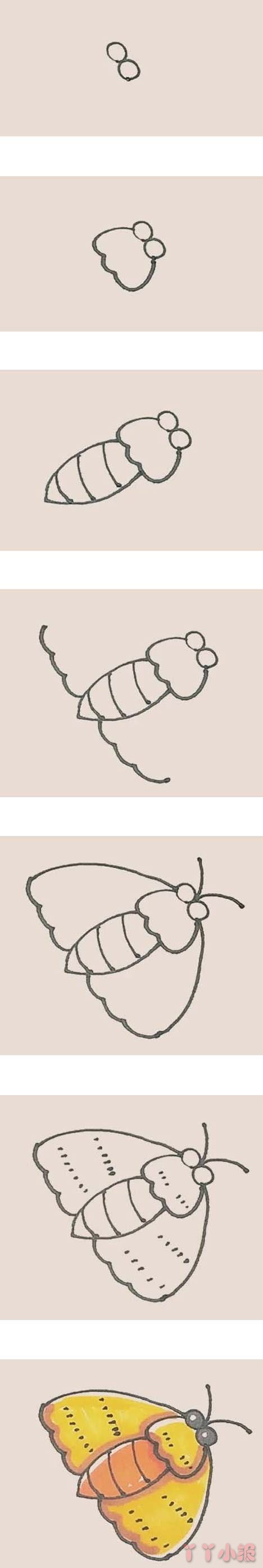 彩色飞蛾的简笔画怎么画带步骤简单又好看