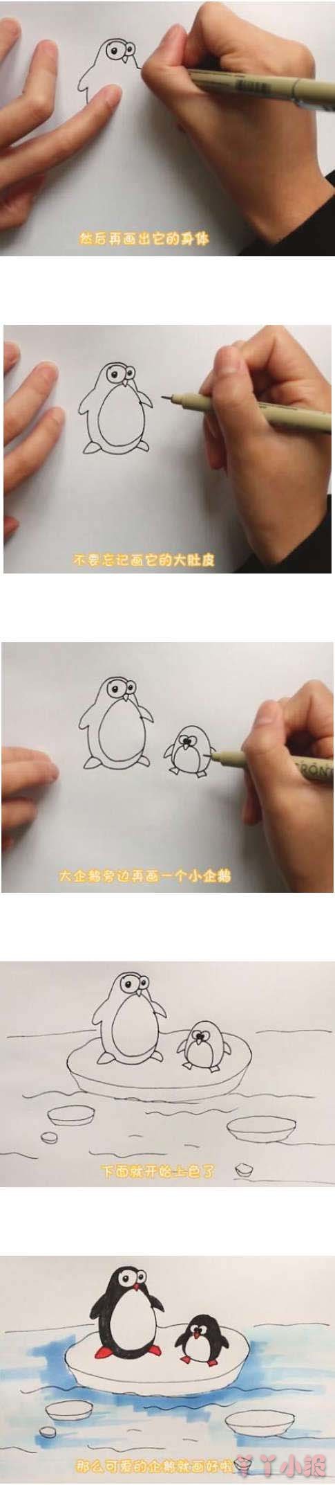 教你画两只企鹅的简笔画怎么画简单好看