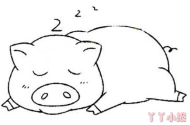 怎么画爱睡懒觉的小猪简笔画带步骤简单又好看涂色