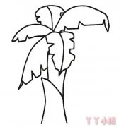 芭蕉树的简笔画怎么画带步骤简单又好看