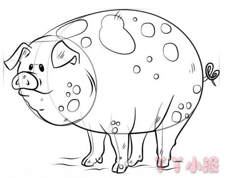 怎么画卡通猪简笔画带步骤简单又好看涂色