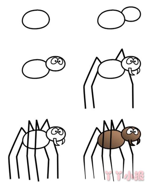 儿童画蜘蛛的简笔画怎么画带步骤简单又好看