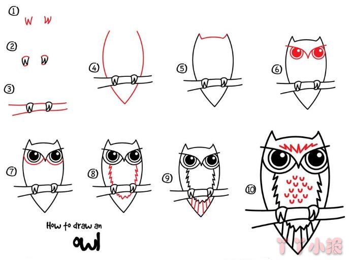 儿童猫头鹰的简笔画怎么画带步骤简单又好看