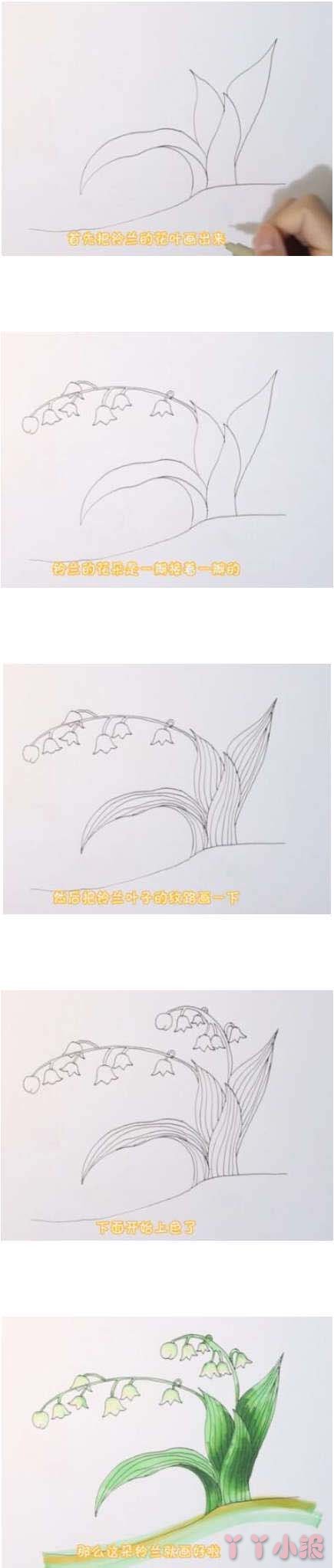 儿童铃兰木的简笔画怎么画带步骤简单又好看