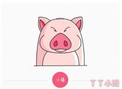 怎么画可爱猪猪简笔画带步骤简单又可爱涂色