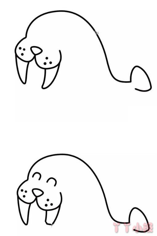 怎么画开心的海豹简笔画带步骤简单又好看涂色