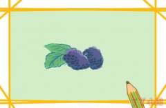 怎么画紫色的桑葚简笔画带步骤简单又好看涂色