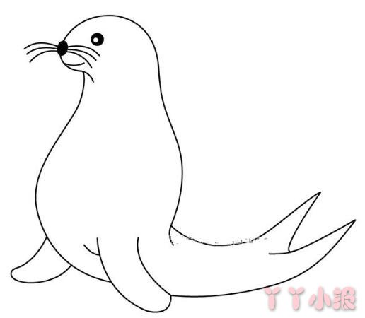 怎么画带睡帽的海豹简笔画带步骤简单又可爱涂色