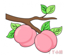 怎么画树枝上的桃子简笔画带步骤简单又好看涂色