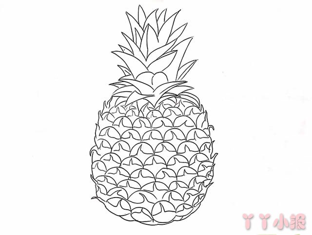菠萝的画法简笔画带步骤简单又好看涂色