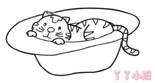 怎么画爱吃鱼的小猫简笔画带步骤简单又可爱涂色
