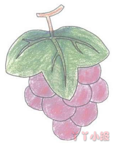 紫色的葡萄的画法简笔画带步骤简单又好看涂色