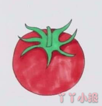 西红柿的画法简笔画带步骤简单又好看涂色