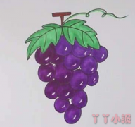 怎么画葡萄简单又好看 葡萄简笔画图片