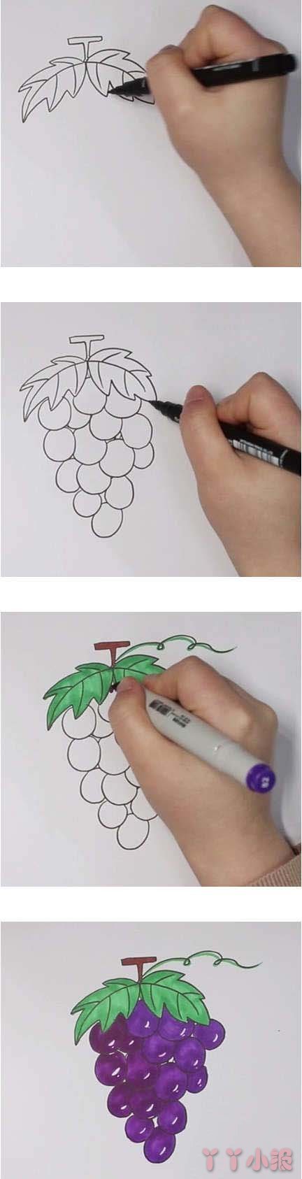 怎么画葡萄简单又好看 葡萄简笔画图片