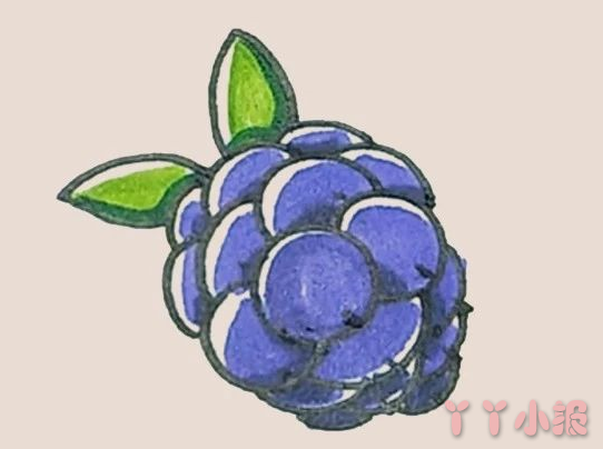 怎么画黑莓简笔画带步骤简单又好看涂色