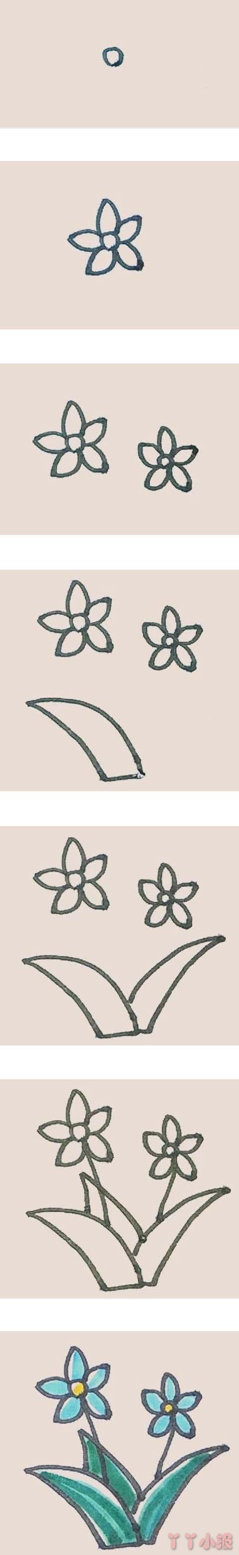 怎么画漂亮的水仙花简笔画带步骤简单又好看涂色