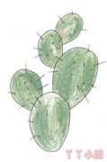 怎么画绿色的仙人掌简笔画带步骤简单又好看涂色