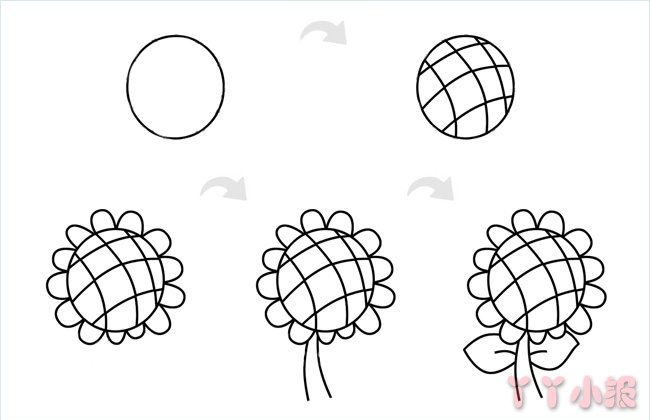 向日葵的画法简笔画带步骤简单又好看