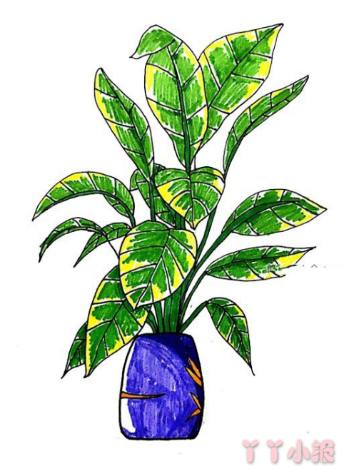 怎么画漂亮的盆栽简单又好看 漂亮的盆栽简笔画图片