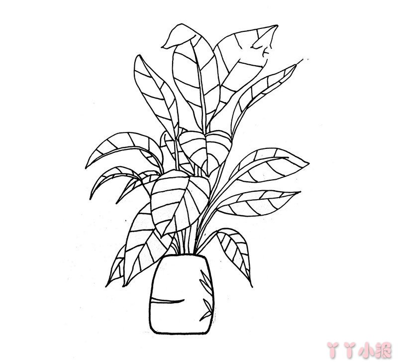 怎么画漂亮的盆栽简单又好看 漂亮的盆栽简笔画图片