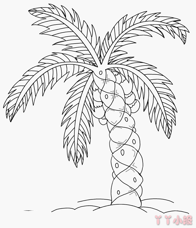 怎么画沙滩上的棕榈树简单又好看 沙滩上的棕榈树简笔画图片
