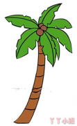 怎么画棕榈树简单又好看 棕榈树简笔画图片