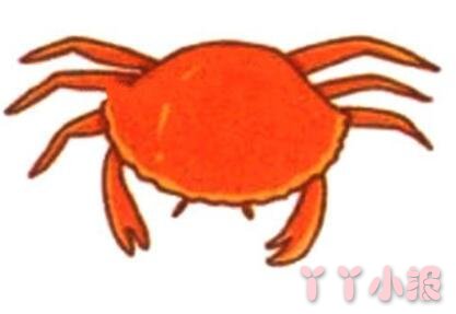 怎么画红螃蟹简笔画带步骤简单又好看涂色