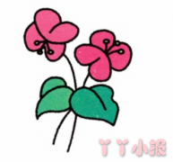 蝴蝶兰花的画法简笔画带步骤简单又好看涂色