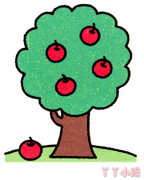 一颗苹果树的画法简笔画带步骤简单又好看涂色