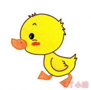 怎么画可爱的小鸭子简单又好看 可爱的小鸭子简笔画图片